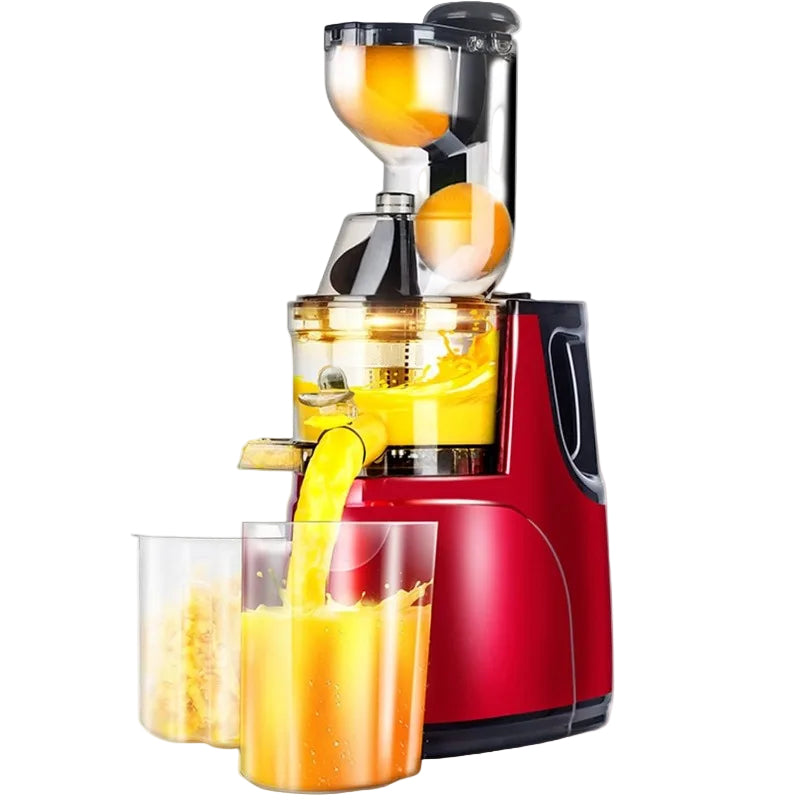 Masticating Juicer Machine
